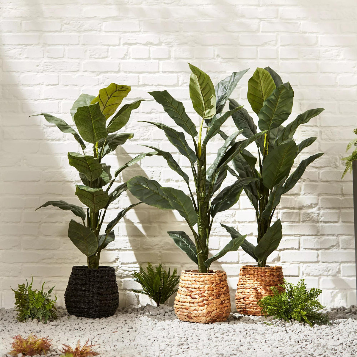 Artificial Ficus Tree in Rattan Pot - view 8