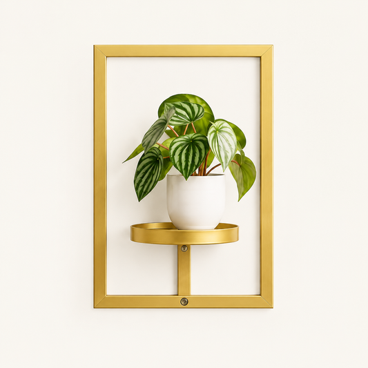Metal Frame Wall Planter with Pot on a plain off-white background