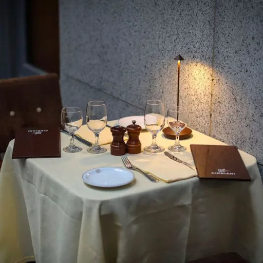 Waterproof Cordless LED Table Lamp, Touch Dimmable - view 14