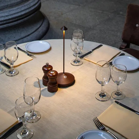 Waterproof Cordless LED Table Lamp, Touch Dimmable - view 4